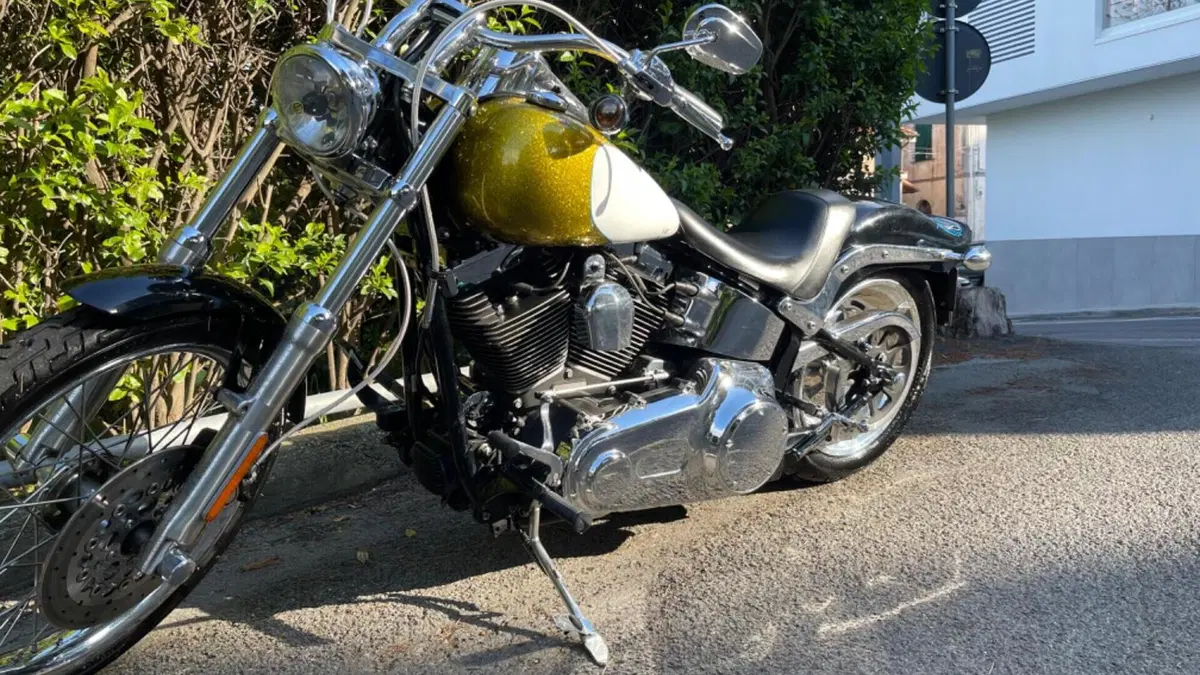 Harley-Davidson 1584 Custom (2007) - FXSTC  (10)