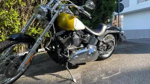 Harley-Davidson 1584 Custom (2007) - FXSTC  (10)