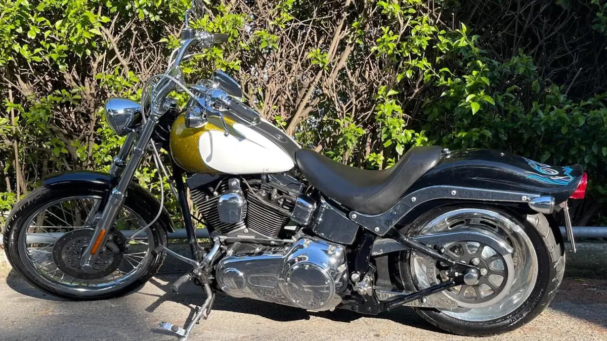 Harley-Davidson 1584 Custom (2007) - FXSTC  (11)