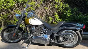 Harley-Davidson 1584 Custom (2007) - FXSTC  (11)