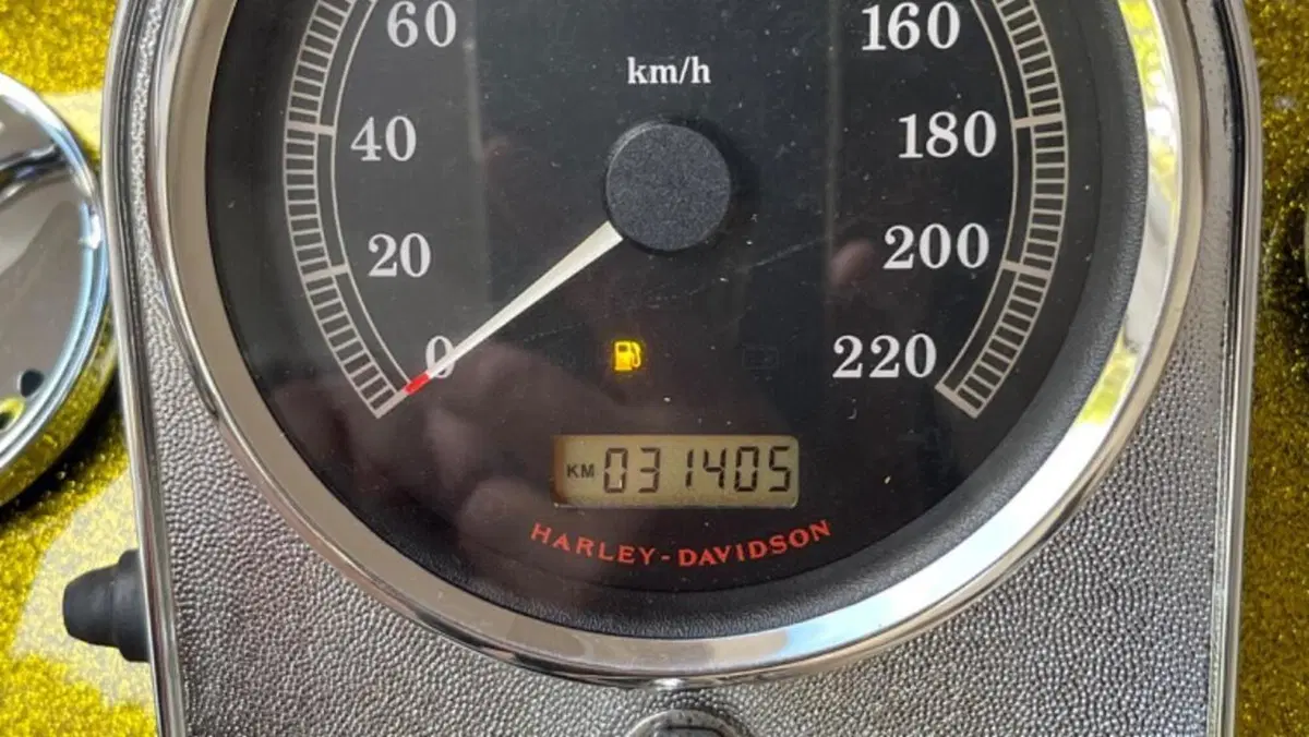 Harley-Davidson 1584 Custom (2007) - FXSTC  (12)