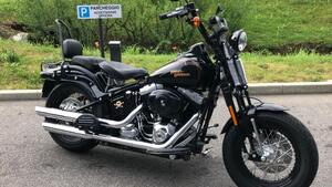 Harley-Davidson 1584 Cross Bones (2008 - 11) - FLSTSB 