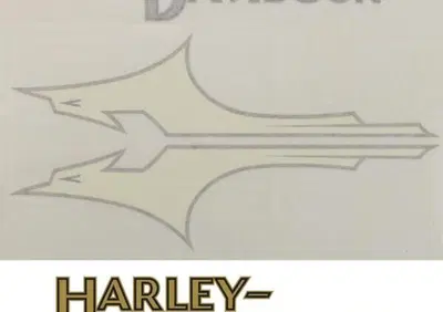 Decalcomanie serbatoio adesive teste d'aquila part Zodiac - Annuncio 8828695