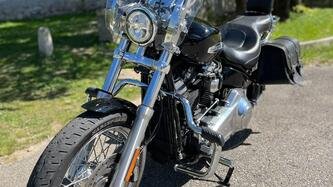 Harley-Davidson Softail Standard (2021 - 24) usata