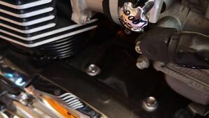 Triumph Bonneville T100 (2008 - 16) 
