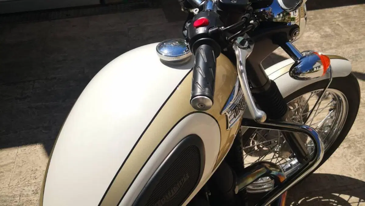 Triumph Bonneville T100 (2008 - 16)  (2)