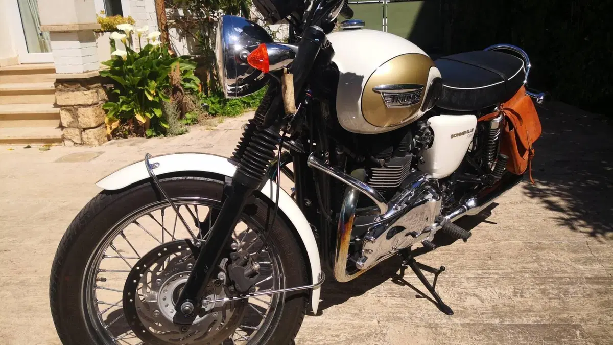 Triumph Bonneville T100 (2008 - 16)  (4)
