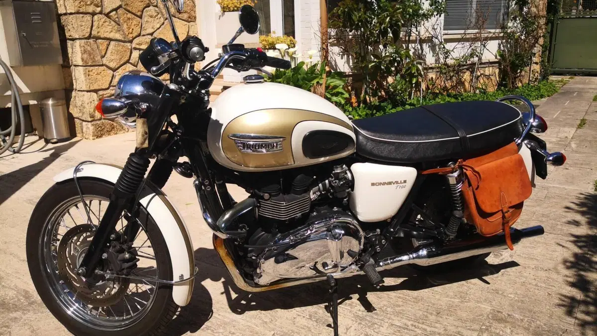 Triumph Bonneville T100 (2008 - 16)  (5)