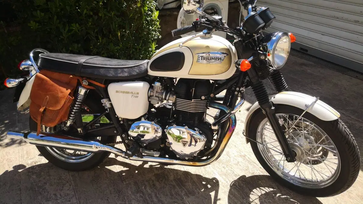 Triumph Bonneville T100 (2008 - 16)  (6)