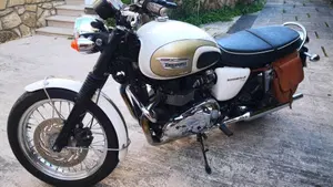 Triumph Bonneville T100 (2008 - 16)  (8)