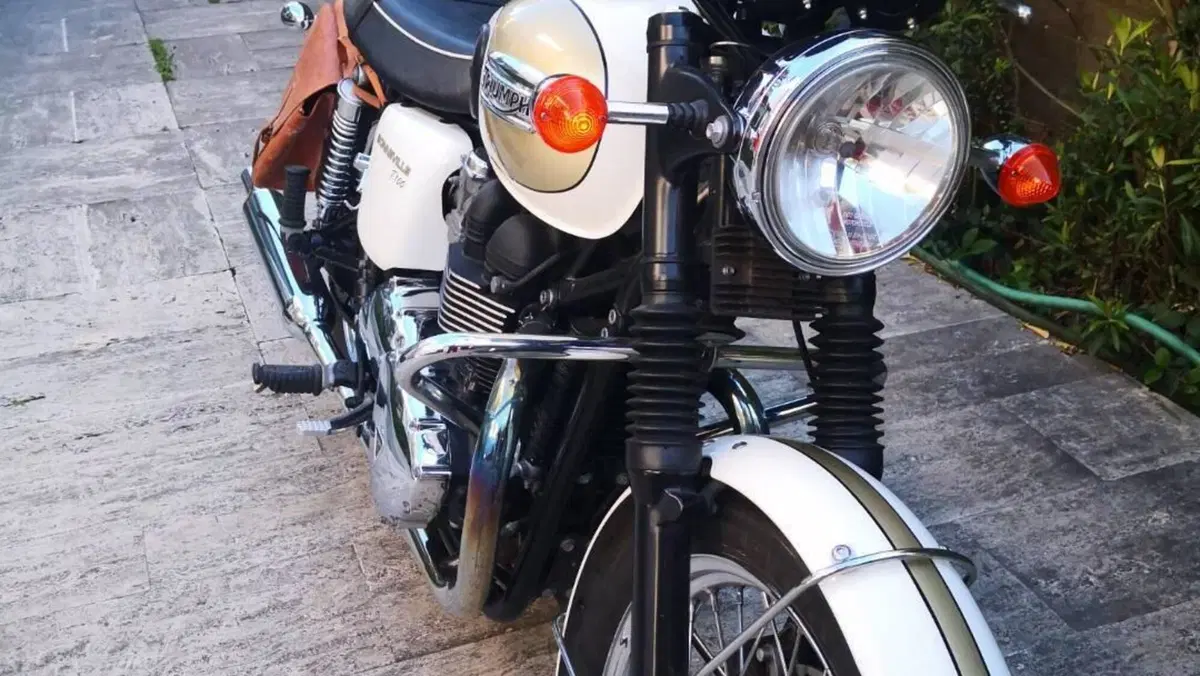Triumph Bonneville T100 (2008 - 16)  (9)