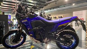 Yamaha Ténéré 700 World Raid (2022 - 25) 