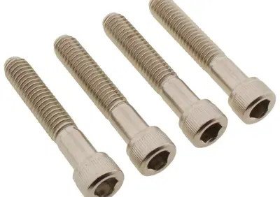 Viti parafango anteriore inox per Softail Heritage  - Annuncio 9439950