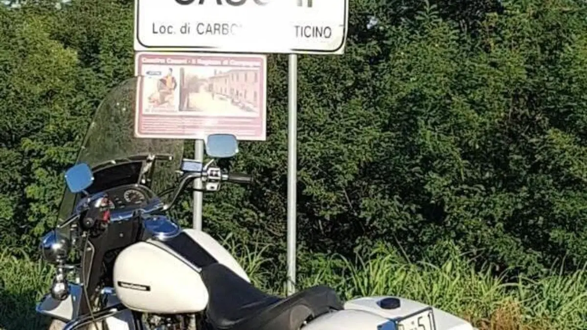 Harley-Davidson   (7)