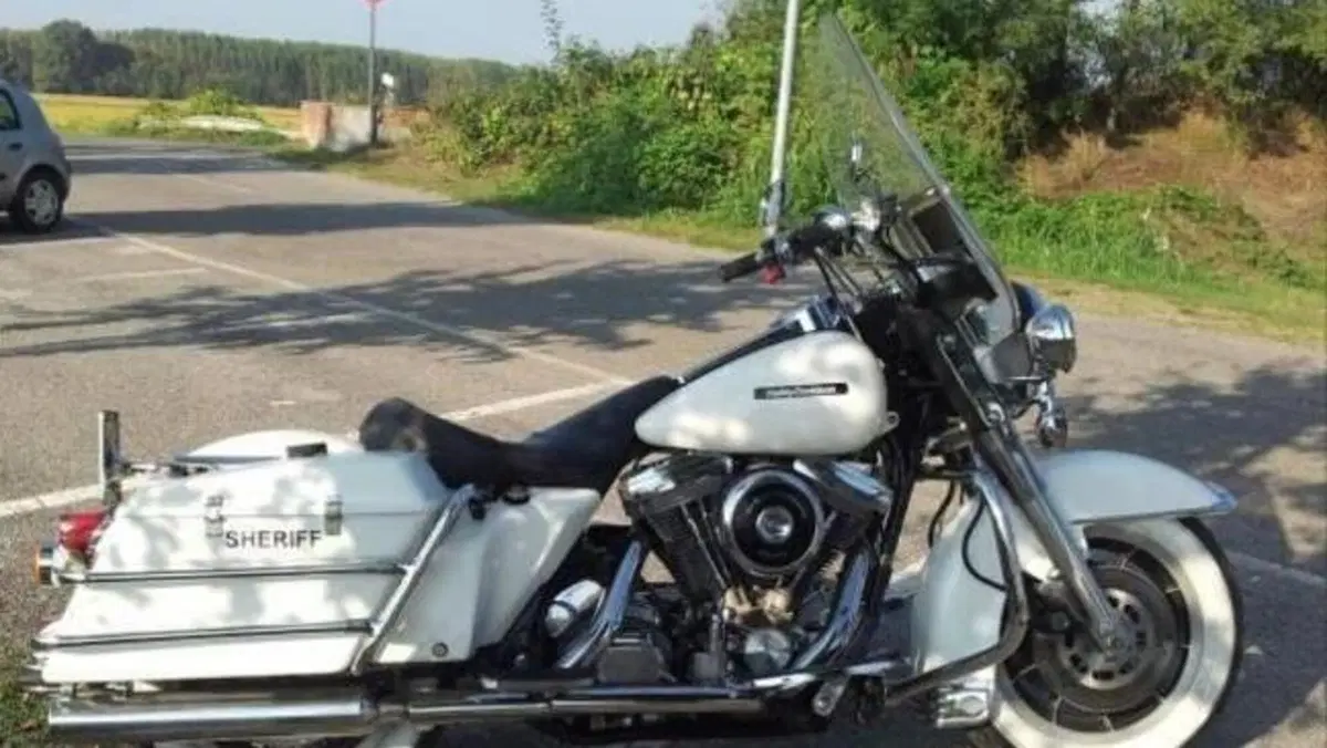 Harley-Davidson   (10)
