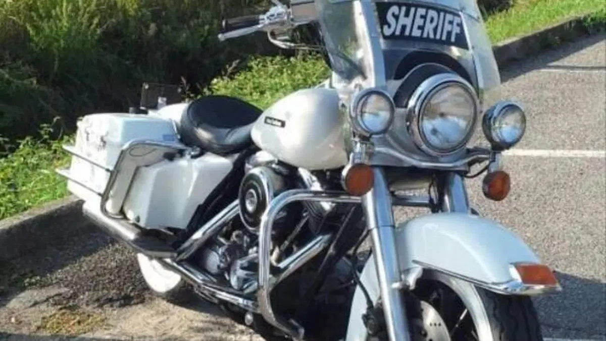 Harley-Davidson   (11)