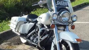 Harley-Davidson   (11)
