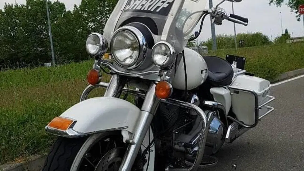 Harley-Davidson   (12)