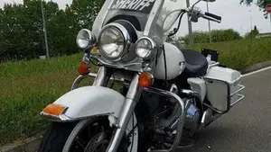 Harley-Davidson   (12)