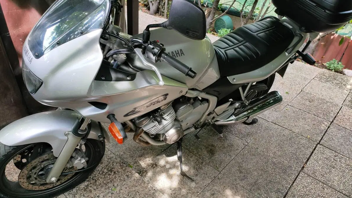 Yamaha XJ 600 S Diversion (1992 - 02) 