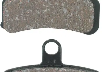 Pastiglie anteriori organiche per Softail dal 2008  - Annuncio 9444280