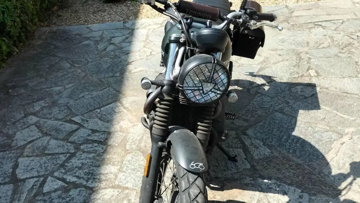 Triumph Street Scrambler 900 (2017 - 18)  (3)