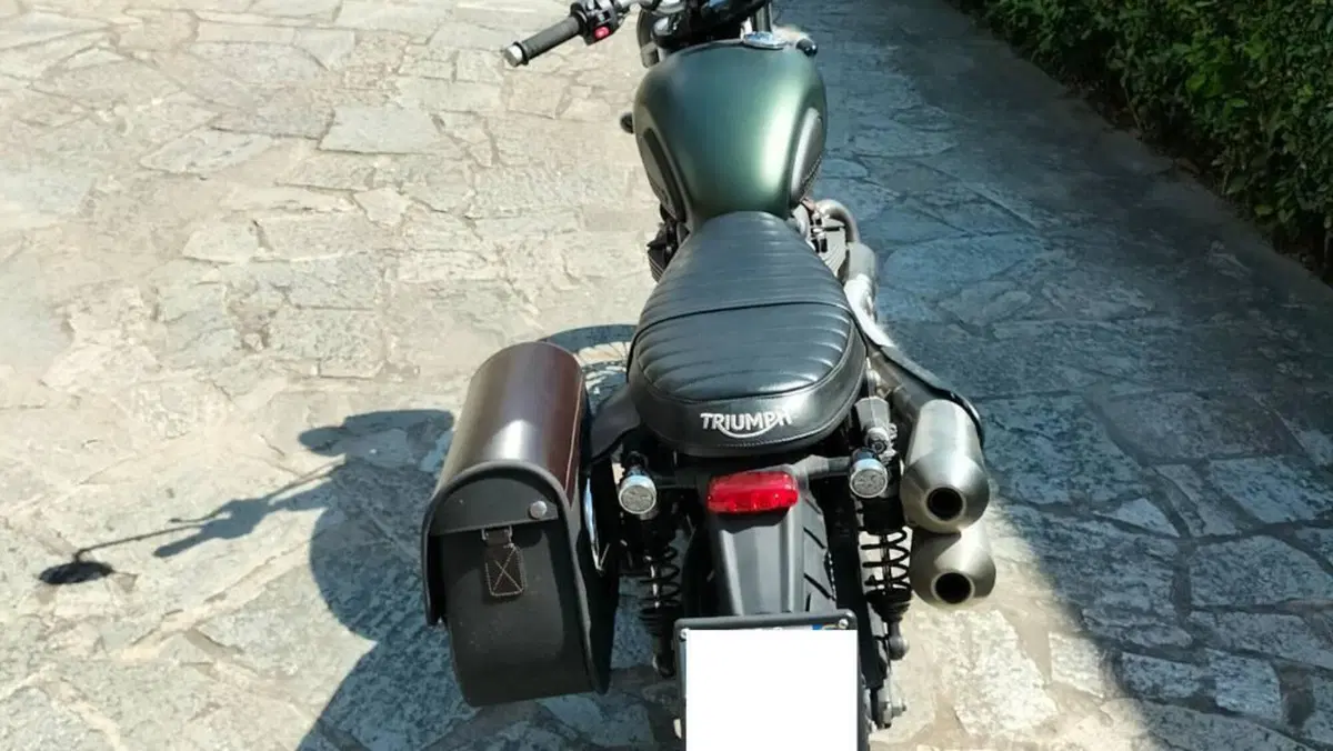 Triumph Street Scrambler 900 (2017 - 18)  (4)