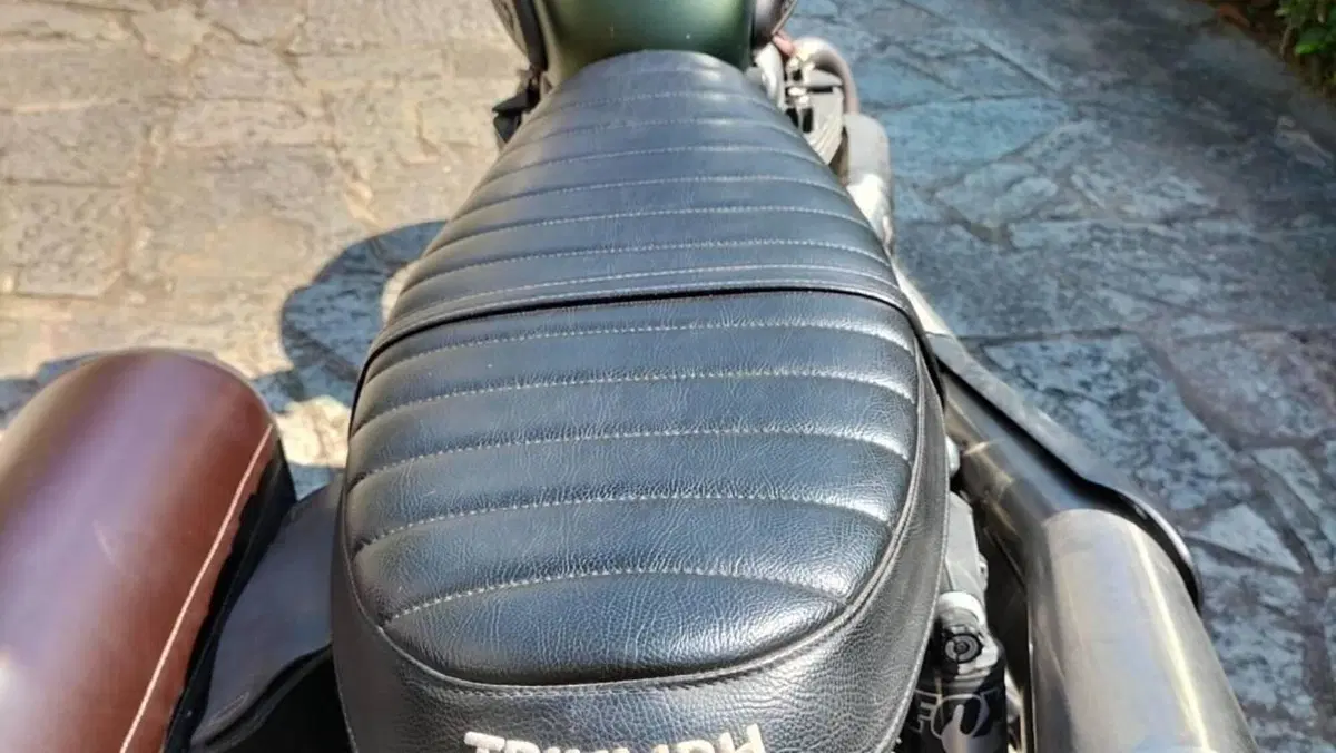 Triumph Street Scrambler 900 (2017 - 18)  (6)