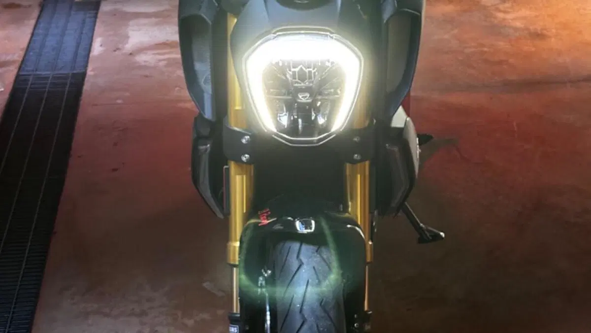 Ducati Diavel 1260 S (2019 - 20)  (4)