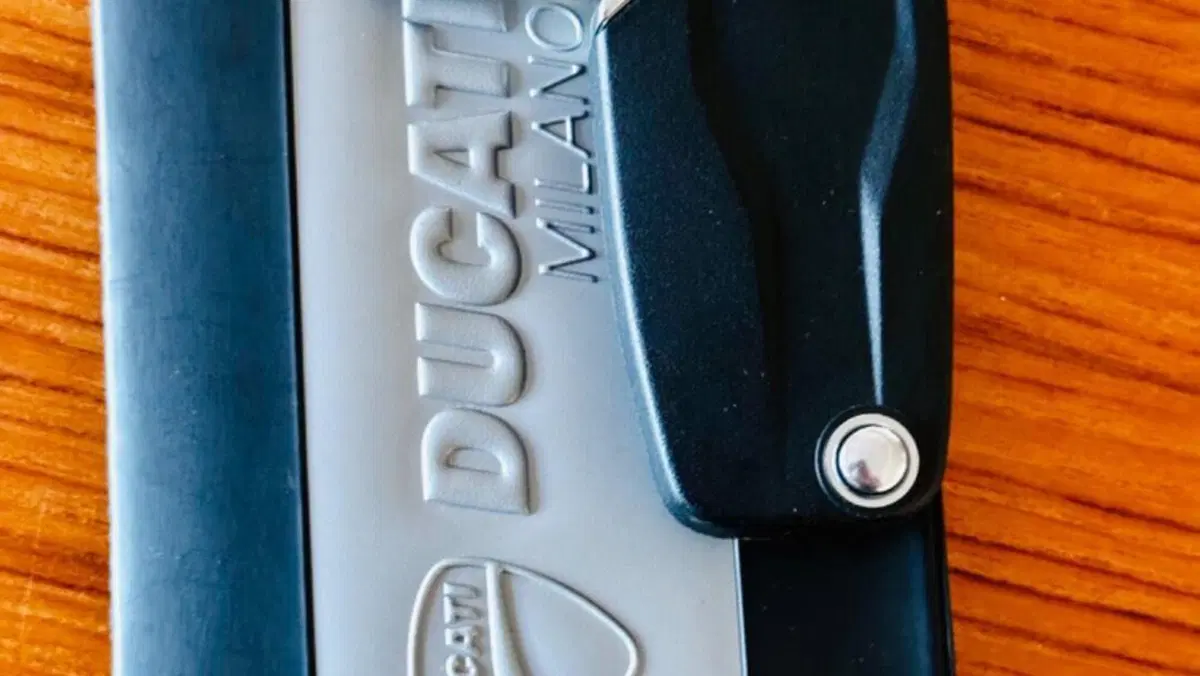 Ducati Diavel 1260 S (2019 - 20)  (19)