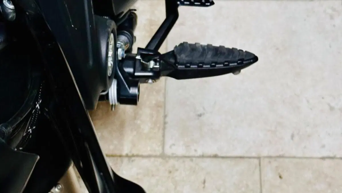 Ducati Diavel 1260 S (2019 - 20)  (13)