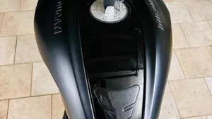 Ducati Diavel 1260 S (2019 - 20)  (14)