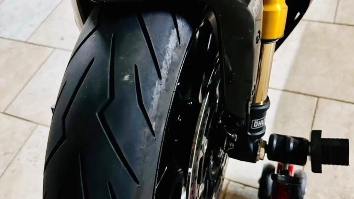 Ducati Diavel 1260 S (2019 - 20)  (17)