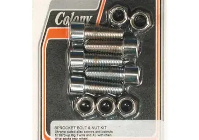 Viti brugola inox lucide e dadi per corona Per FL,  - Annuncio 8559996