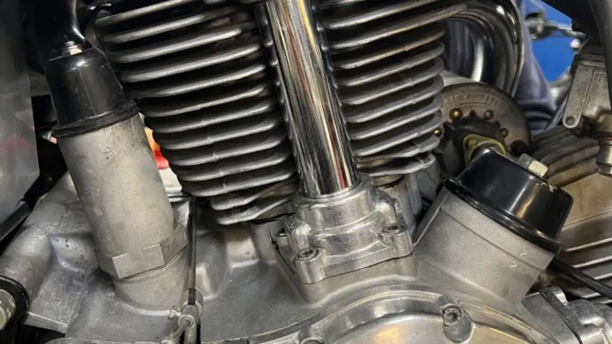Ducati  