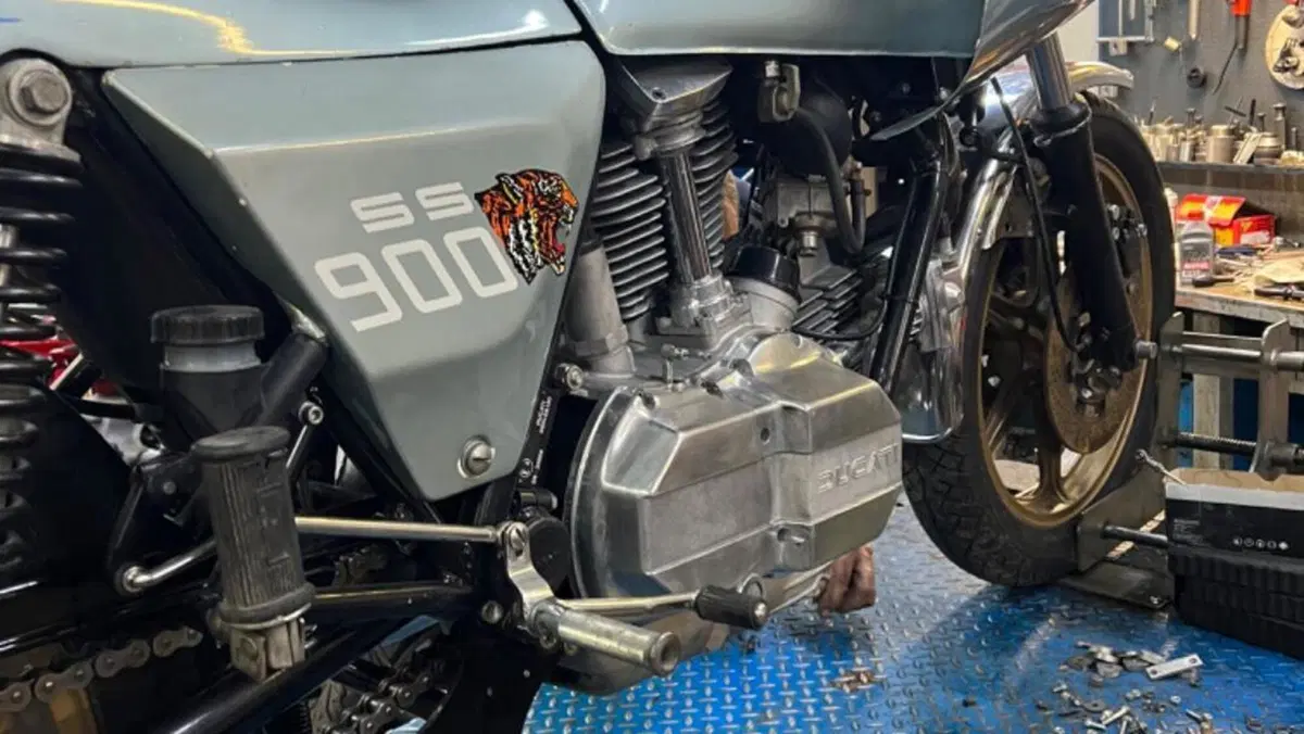 Ducati   (5)