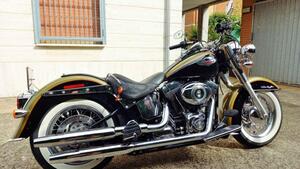 Harley-Davidson 1584 Deluxe (2007 - 08) - FLSTN 