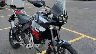 Ducati DesertX (2022 - 25) usata