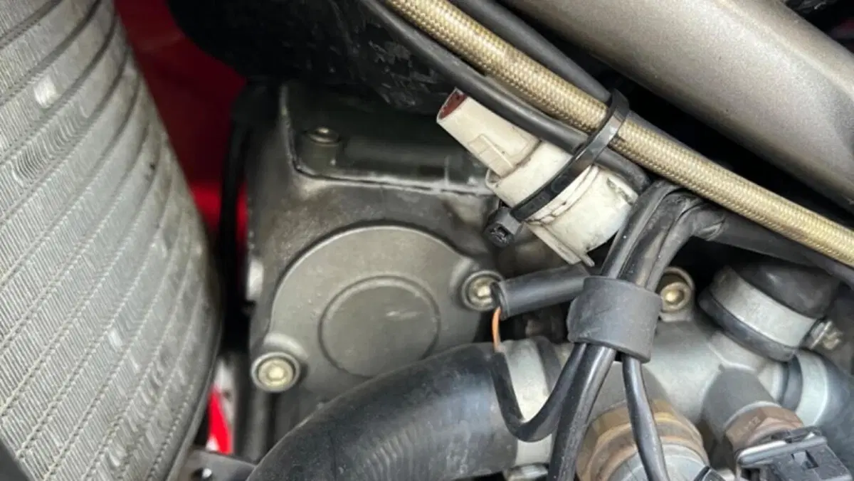 Ducati   (14)