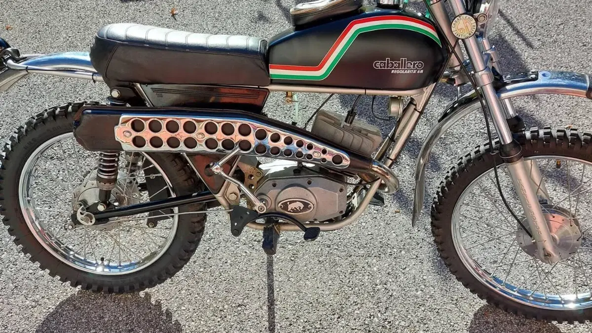 Fantic Motor  