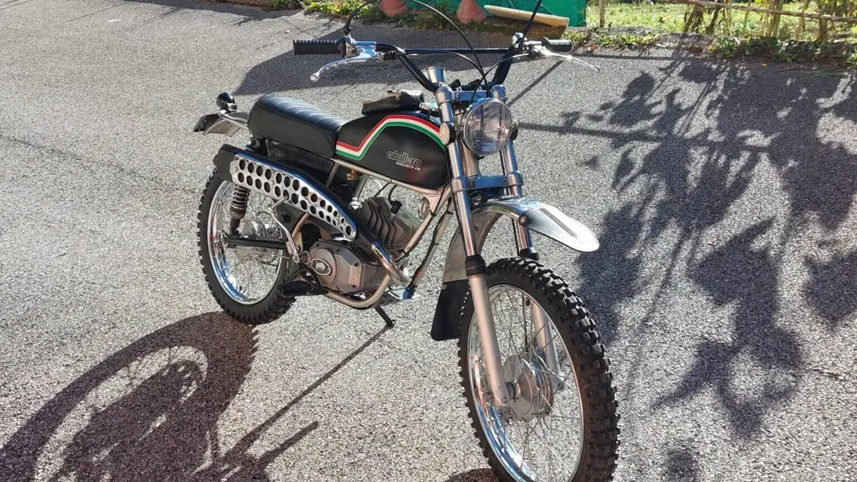 Fantic Motor   (3)