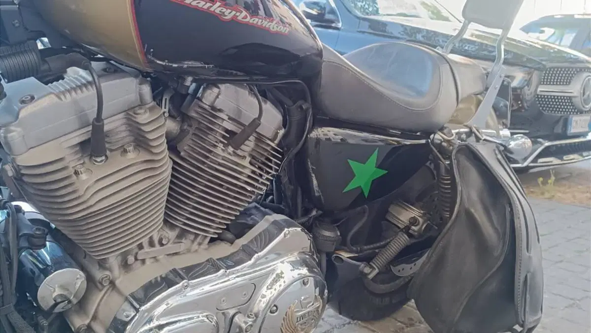 Harley-Davidson 883 Custom (2006 - 07) - XL 883C  (2)