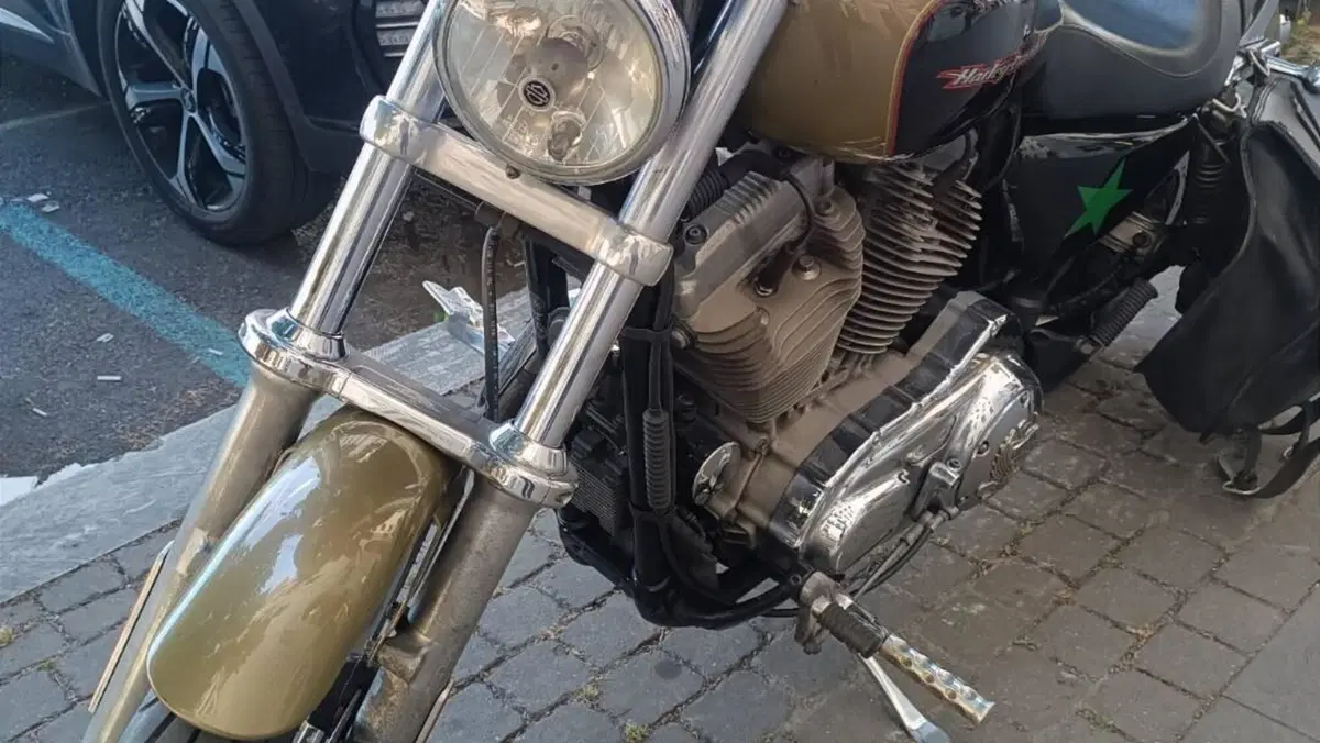 Harley-Davidson 883 Custom (2006 - 07) - XL 883C  (6)