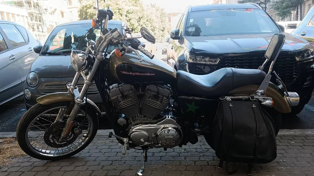 Harley-Davidson 883 Custom (2006 - 07) - XL 883C  (7)