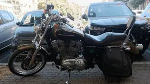 Harley-Davidson 883 Custom (2006 - 07) - XL 883C  (7)