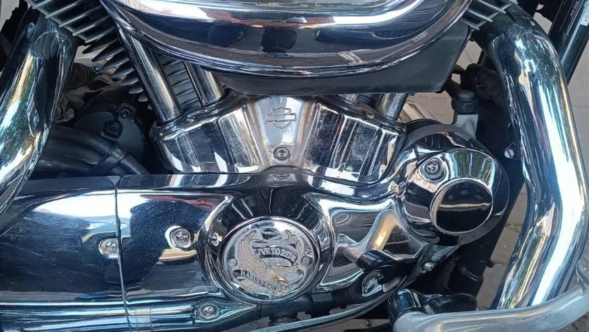 Harley-Davidson 883 Custom (2006 - 07) - XL 883C  (3)