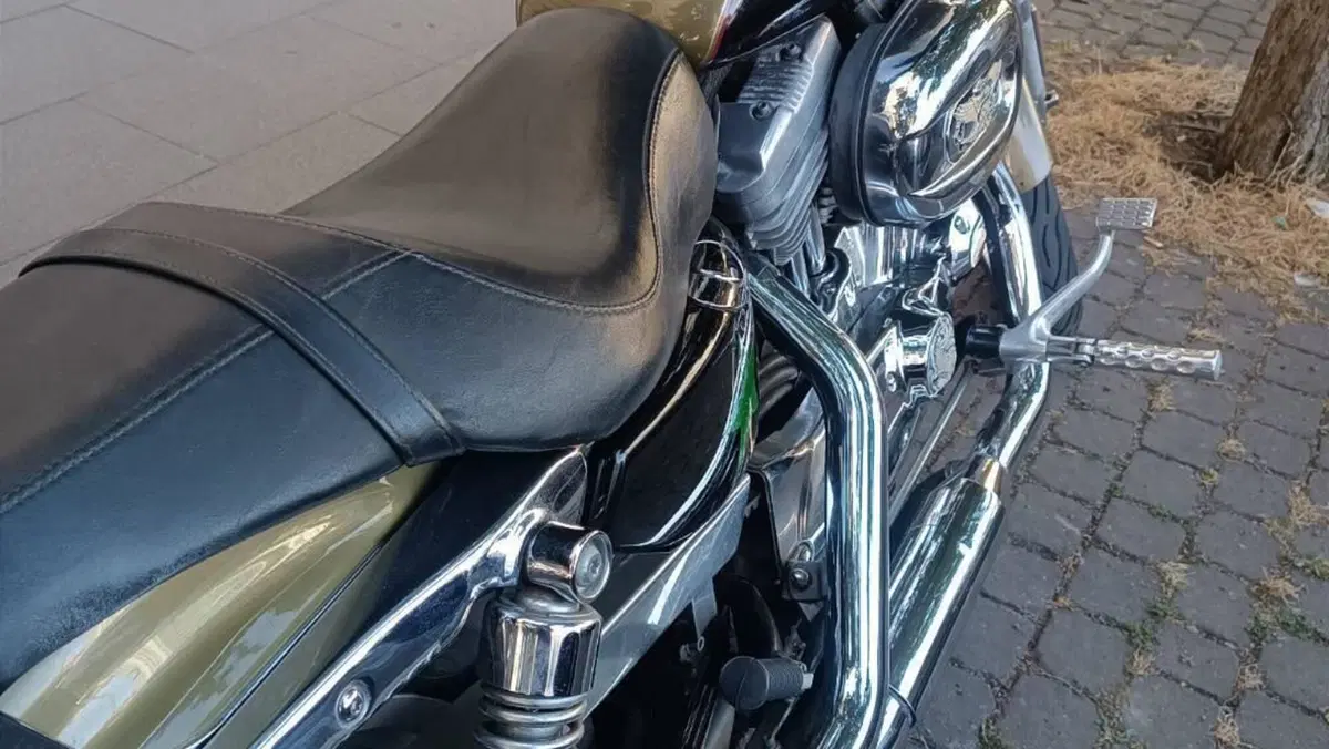 Harley-Davidson 883 Custom (2006 - 07) - XL 883C  (4)