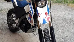 Bmw G 650 Xchallenge  (2)