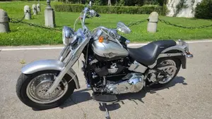 Harley-Davidson   (6)