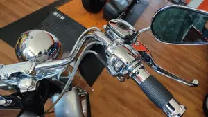 Harley-Davidson   (9)